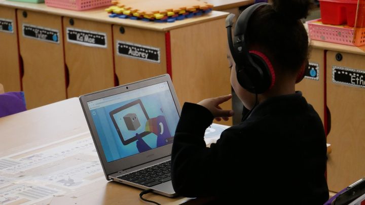 EarlyBird Literacy Assessment