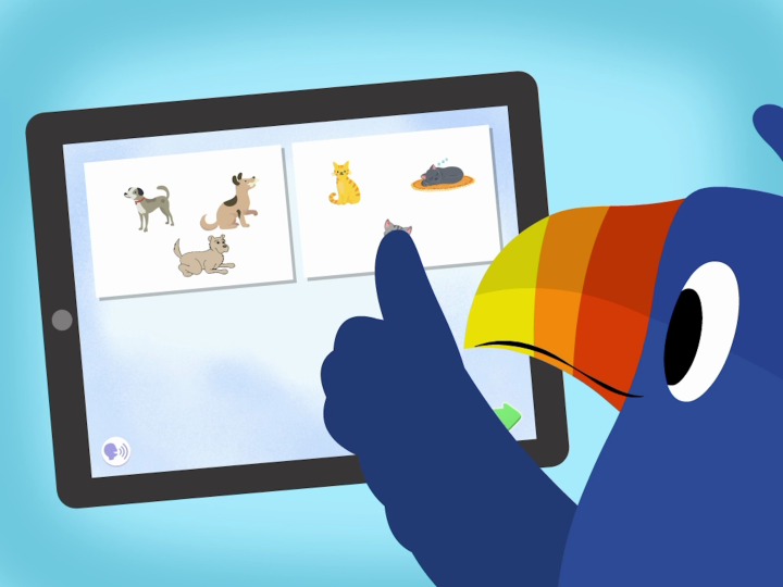 PipCategorizingExercise